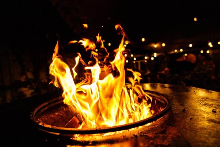 BBQ_Experience_303_C1A7562 groot