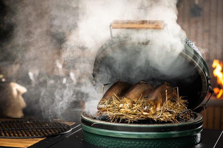 roken op de kamado big green egg Webversion-BigGreenEgg_J20M10_Zalmforel-2