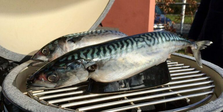 big-green-egg-koud-roken-cold-smoke-generator-1