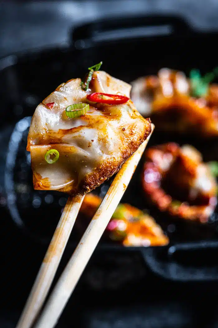 gebakken-gyoza-recept-kamado-bbq-green-egg