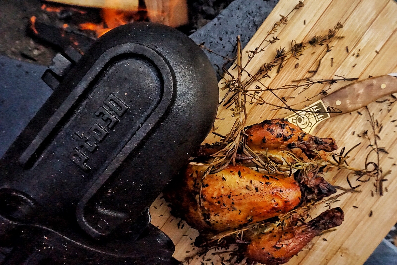 Piepkuiken uit het vuur