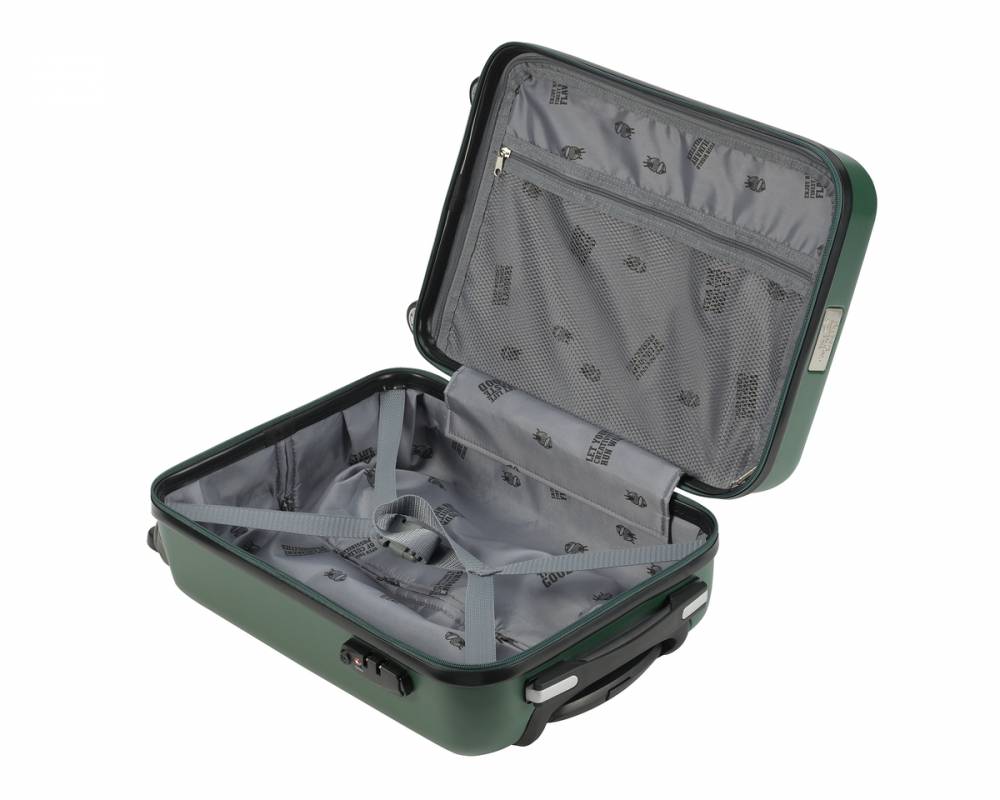 Koffer - Big Green Egg