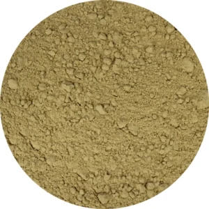 van-beekum--uienpoeder-geroosterd