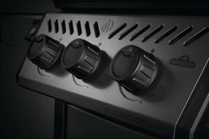 Napoleon-Freestyle-365-DSIB-5