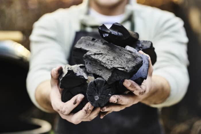 Webversion-Pure Charcoal - Big Green Egg - HR (8)