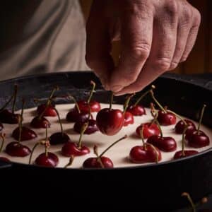 PNG-Evergreens from around Europe - book photography - HR (77) groot