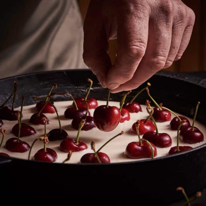 PNG-Evergreens from around Europe - book photography - HR (77) groot