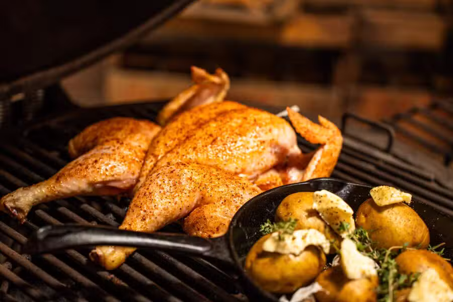 Highway-chicken-Filip