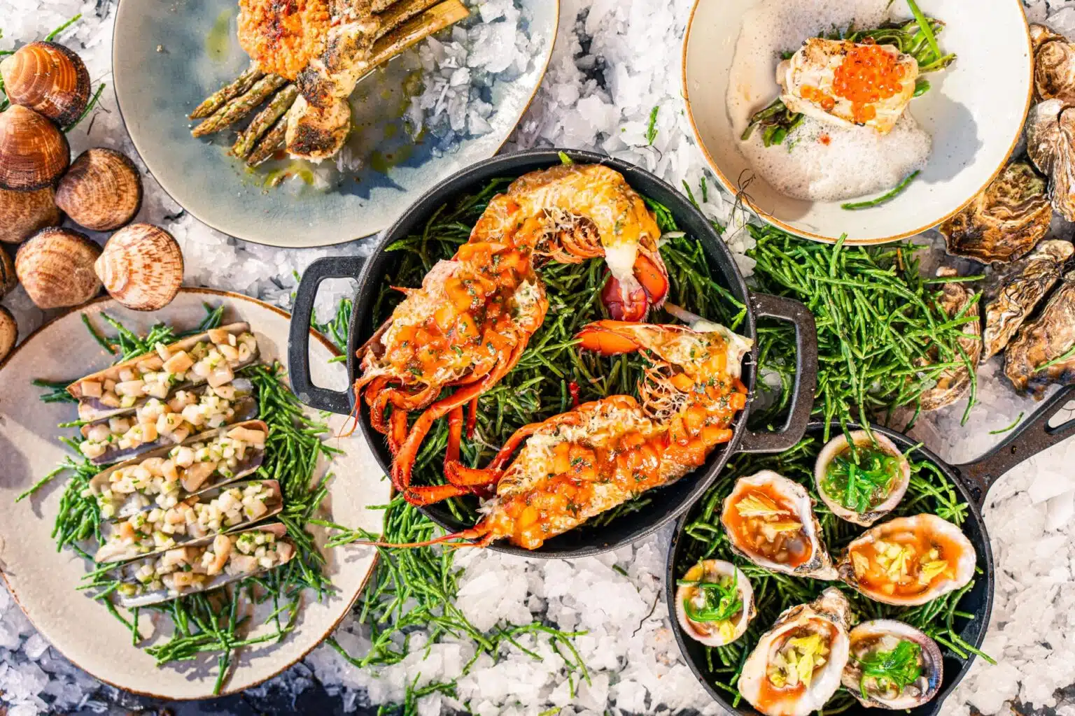 Masterclass uit de zee low res-62