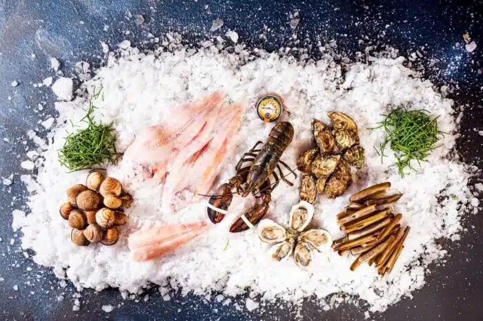 Masterclass uit de zee lowress-15 kopie groot