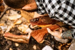 braaihout-kameeldoring-lowres