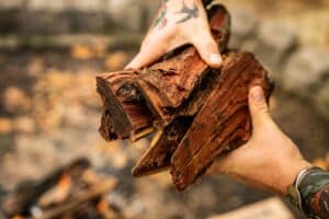 braaihout-kameeldoring-lowres